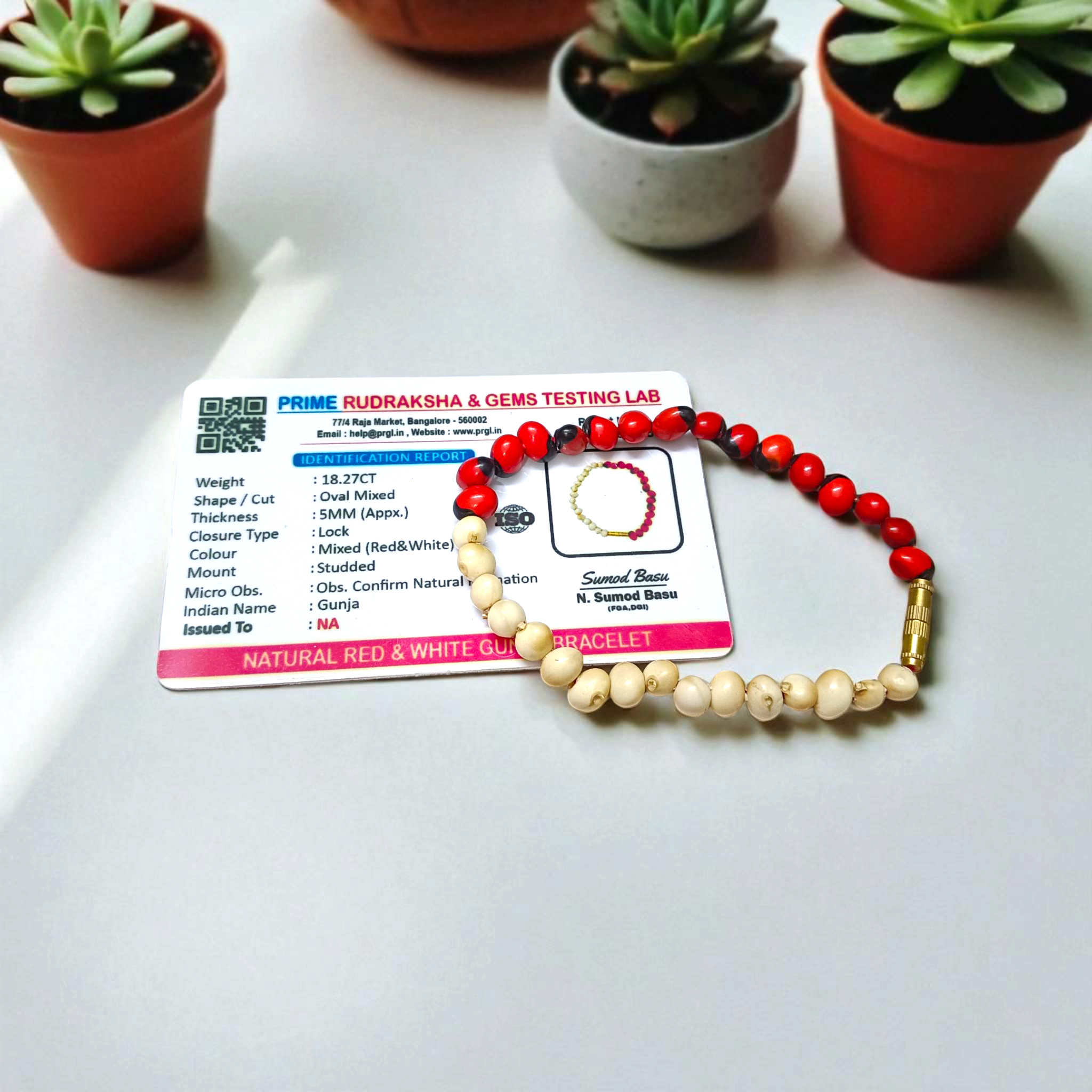 Natural Red and White Gunja seed bracelet with approx. 5mm beads, stretchable and lab certified, displayed on a white background