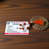 Natural Rudraksha Crystal Finger Mala 9+1 Beads Lab Certified 8–9mm