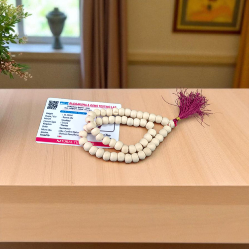 Natural Tulsi Mala 54+1 Beads -  Lab Certified Jaap Mala for Spiritual Energy