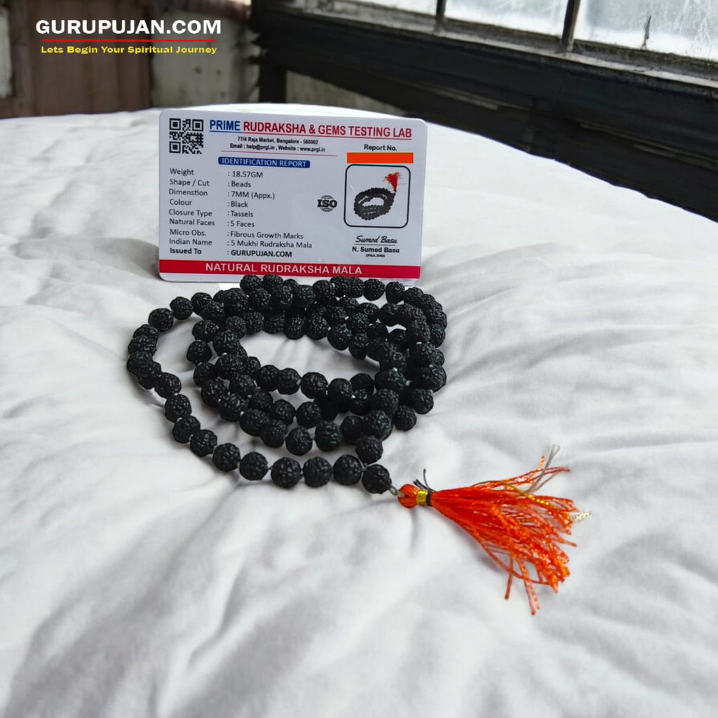 Black Rudraksha Mala Original Mukhi Kaali Rudraksha Mala for