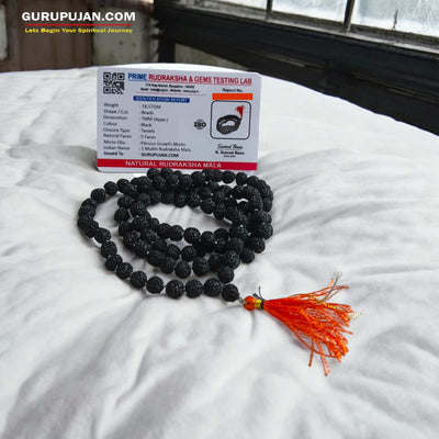 Original 5 Mukhi Black Rudraksha Mala Lab Certified for Jaap