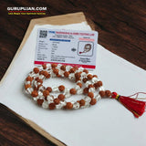 Original Lab Certified Rudraksha Sphatik Mala with 27+1 and 108+1 Beads – Ideal for Meditation and Healing