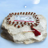 Original Lab Certified Rudraksha Sphatik Mala with 27+1 and 108+1 Beads – Ideal for Meditation and Healing