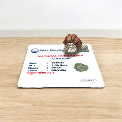 Rudraksha Ganesh Pendant – Silver Coated Locket for Peace & Protection | Gurupujan