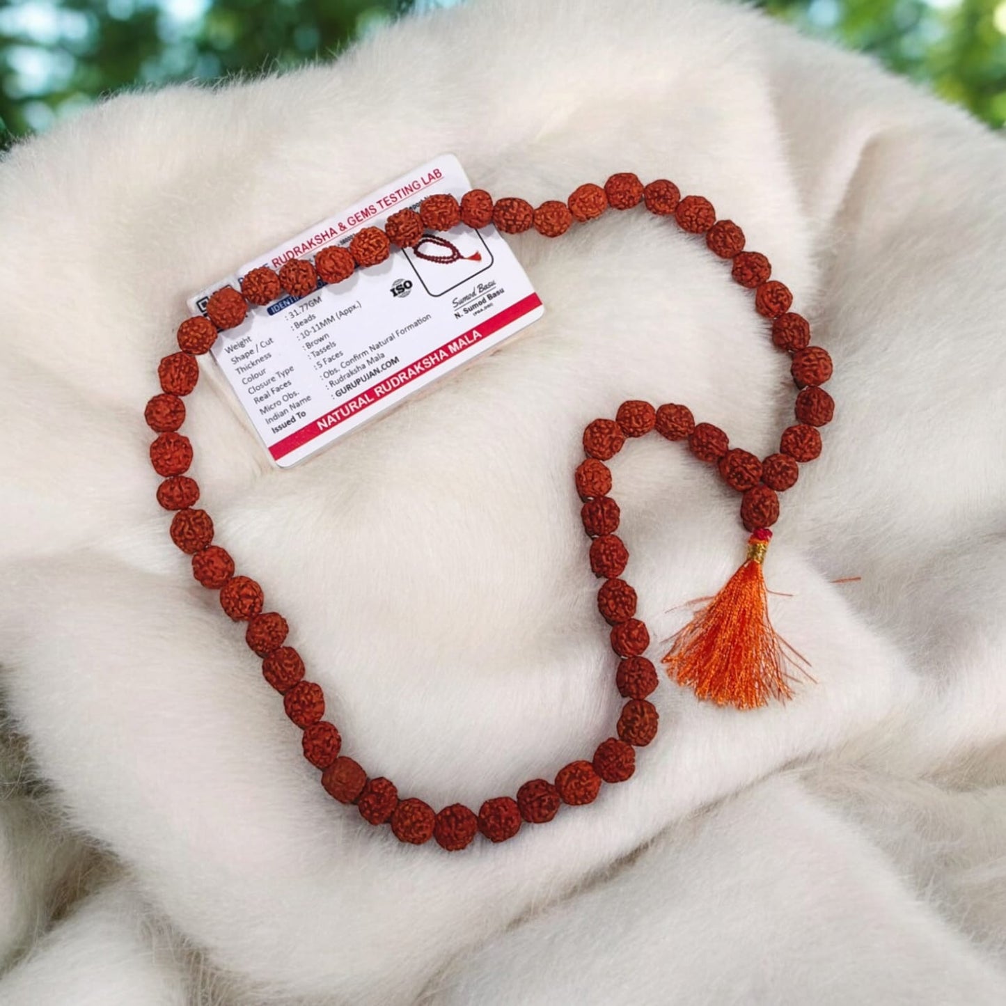 Rudraksha Mala 54+1 beads made from Pathri Rudraksha, featuring 11MM beads, lab certified, ideal for jaap, meditation, and wear.
