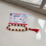 Rudraksha Sphatik Mala 27+1 beads made from natural Rudraksha and crystal, designed to clear negativity and bring happiness.