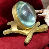 Sampoorna Shree Yantra On Tortoise - Magnifying Tortoise with Shree Yantra Engraving