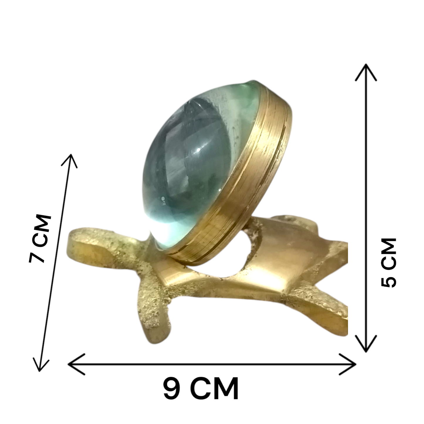 Sampoorna Shree Yantra On Tortoise - Magnifying Tortoise with Shree Yantra Engraving