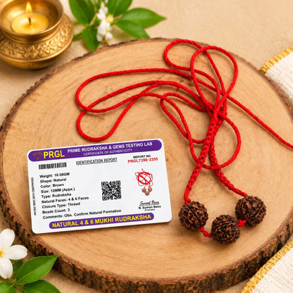 Saraswati Bandh Rudraksha Mala for Students with Original 4 and 6 Mukhi Nepal Rudraksha, Lab Certified Spiritual Beads for Study and Meditation