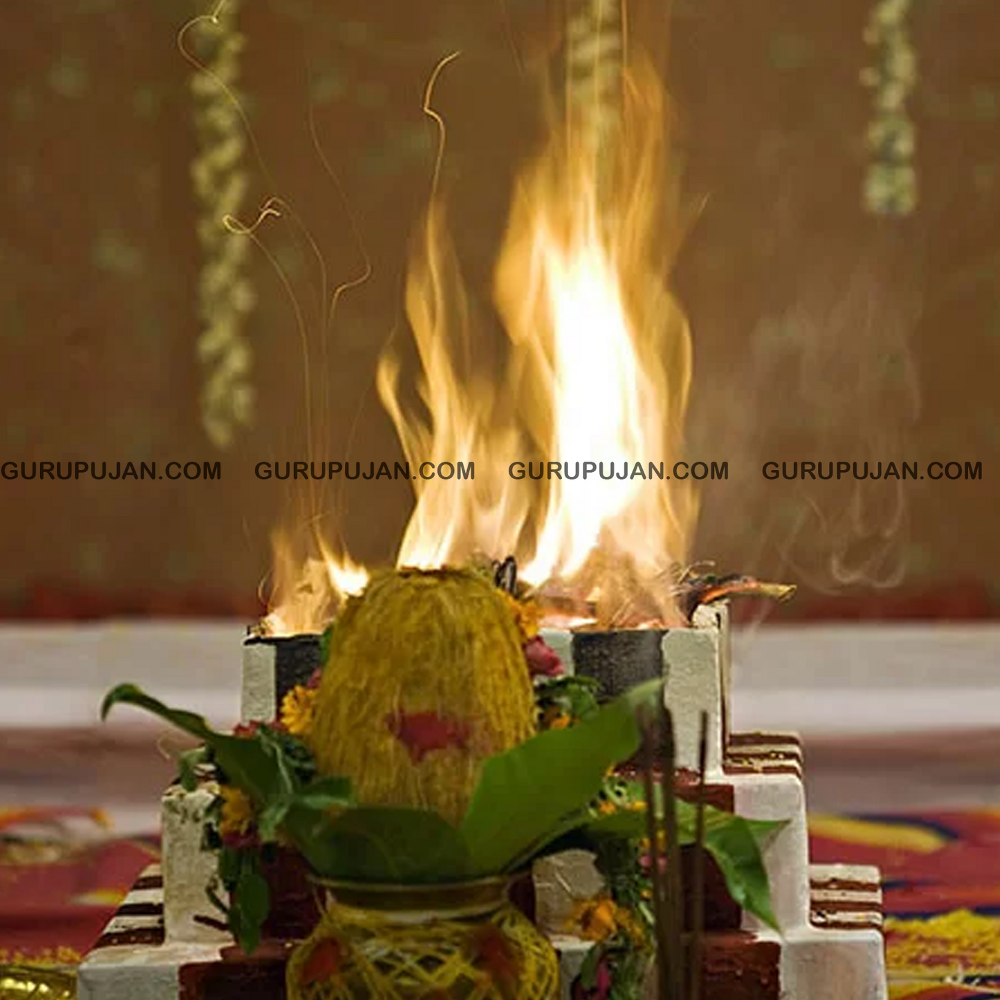 Set of 12 Shami Wood sticks for Shani Hawan, a powerful remedy for Shani Dosh, bringing prosperity, health, and balance as per Lal Kitab.
