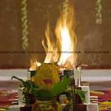 Set of 12 Shami Wood sticks for Shani Hawan, a powerful remedy for Shani Dosh, bringing prosperity, health, and balance as per Lal Kitab.