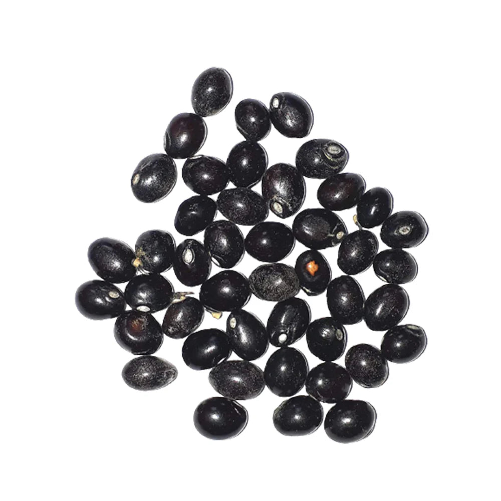 Set of 21 loose Gunja Seeds in red, white, and black colors, lab certified, ideal for creating malas, meditation, mantra chanting, and spiritual practices.