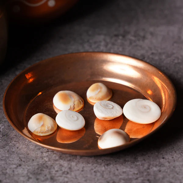Set of 9 Gomati Chakras, sacred stones for spiritual protection, prosperity, and divine blessings