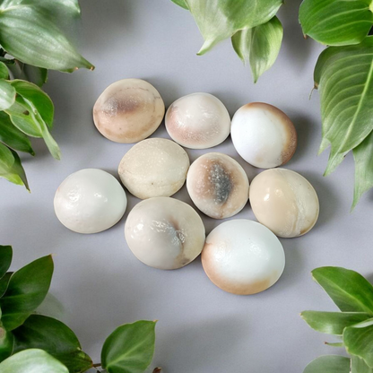 Set of 9 Gomati Chakras, sacred stones for spiritual protection, prosperity, and divine blessings