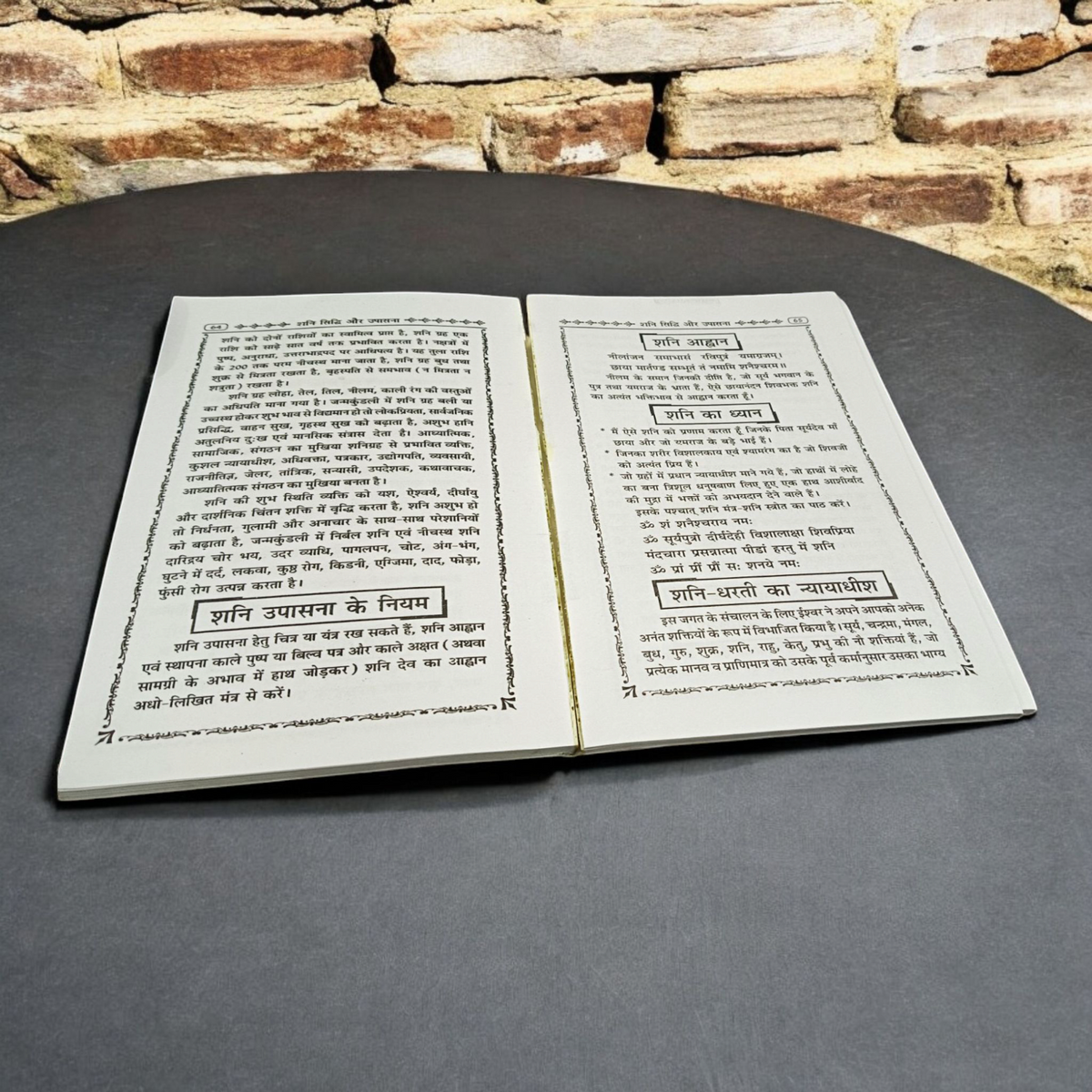 Shani Upasana Hindi Book with Hidden Information about Lord Shani's Worship and Astrological Insights