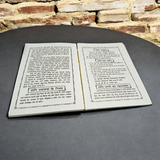 Shani Upasana Hindi Book with Hidden Information about Lord Shani's Worship and Astrological Insights