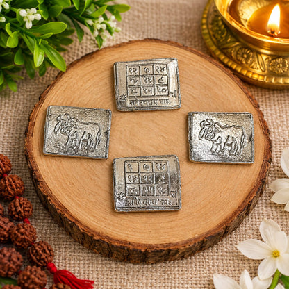 Shani Yantra Coin Set of 10 Ranga Shani Sikka for Shani Puja and Remedies