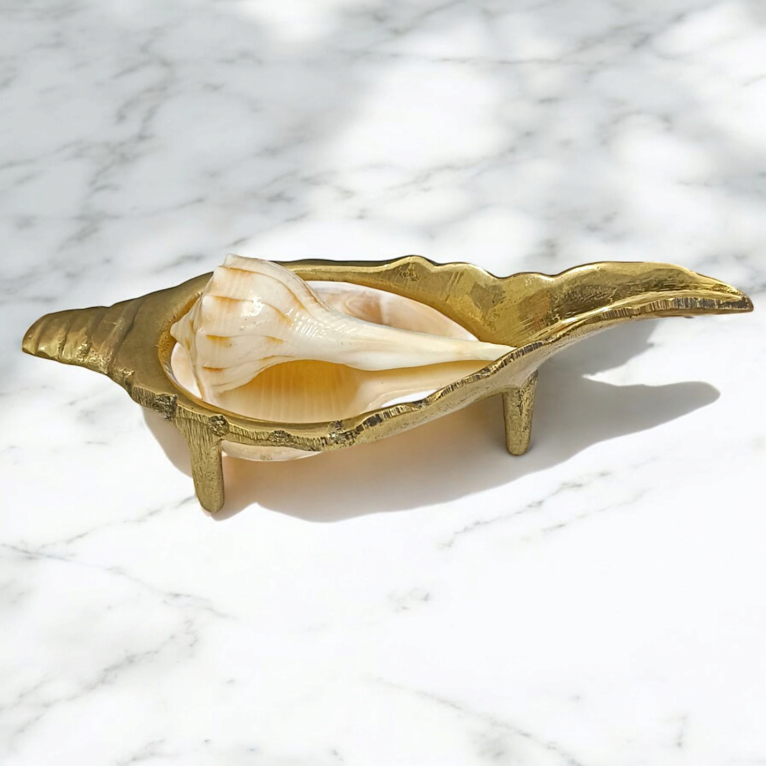 Shank stand made of pure brass, designed to hold a conch shell, perfect for spiritual and decorative use.