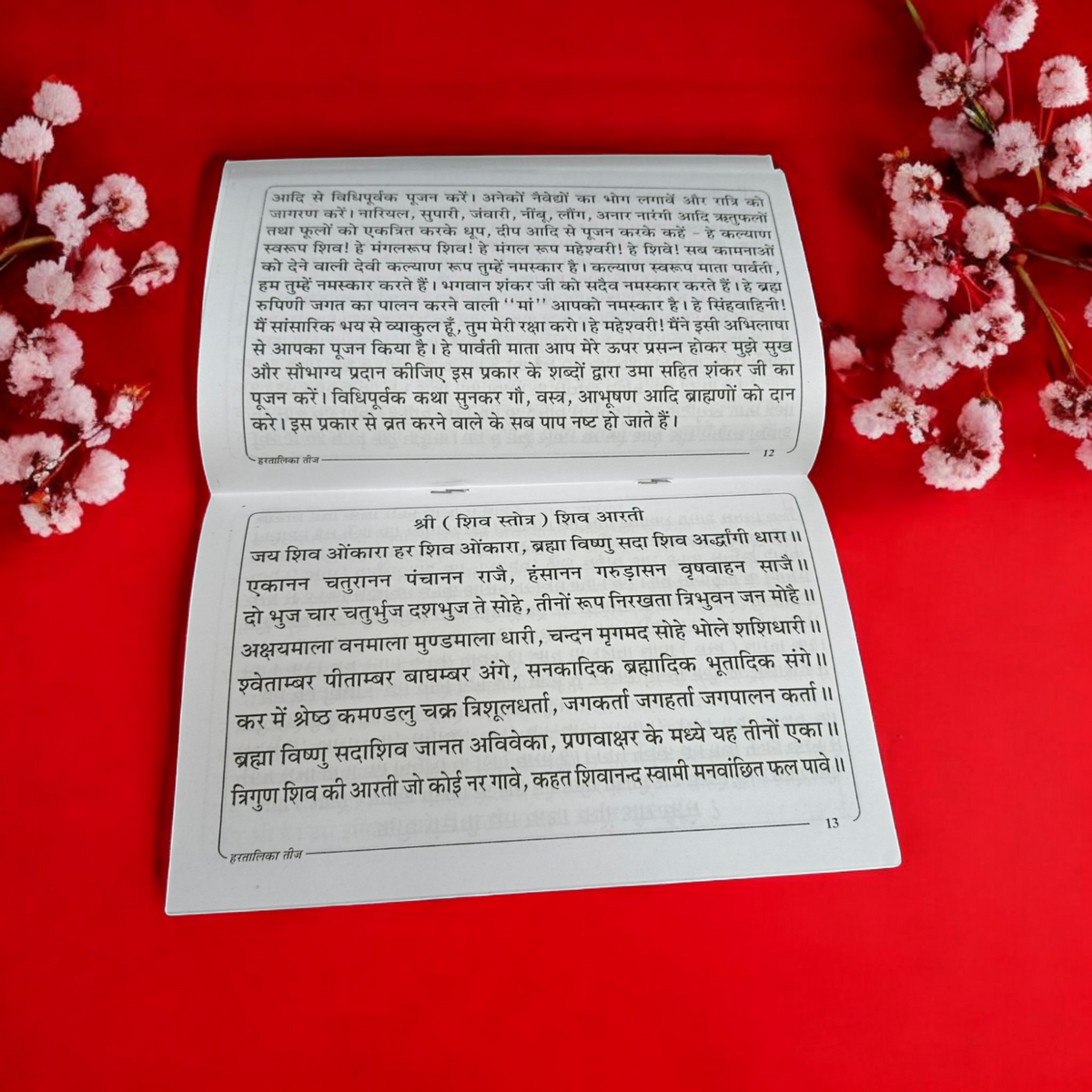 The Hartalika Teej and Rishi Panchmi Vrat Katha Book in Hindi, illustrating the sacred rituals and prayers for observing the fasts and seeking blessings for marital happiness and spiritual growth.