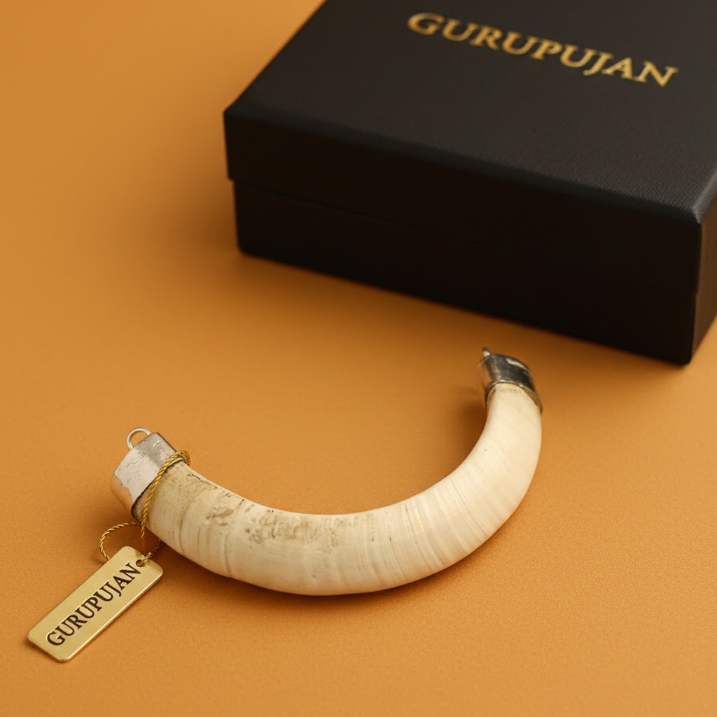 Shukar Dant Silver Cap Pendant | Wild Boar Teeth for Protection & Attraction