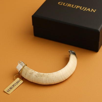 Shukar Dant Silver Cap Pendant | Wild Boar Teeth for Protection & Attraction