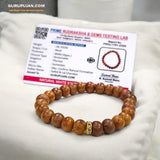 White Sandalwood (Safed Chandan) Bracelet with natural 8MM beads, lab certified, stretchable design, promoting peace, focus, and spiritual growth.