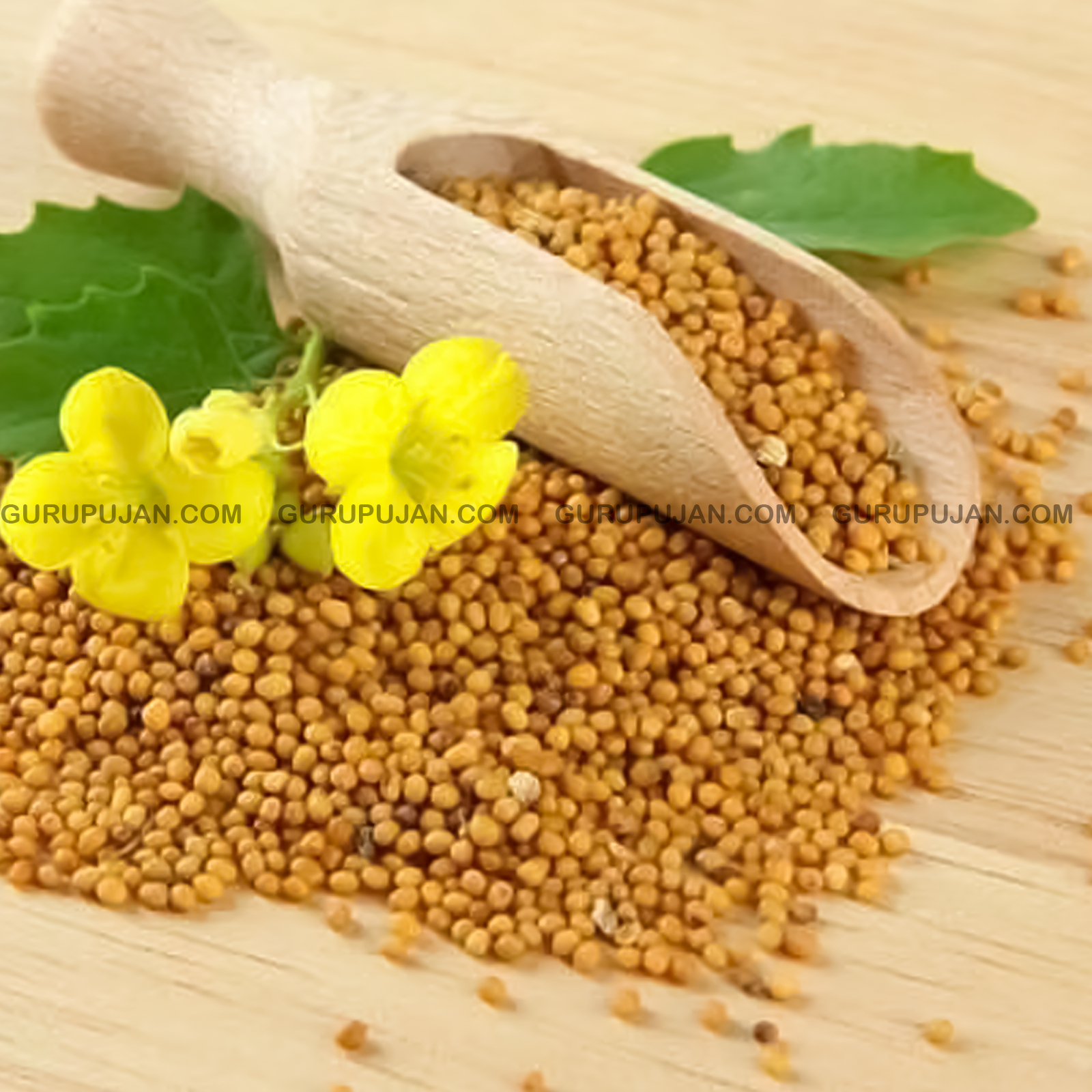 Yellow Mustard Seeds | Peeli Sarso | Pure and Organic Gauri Sarso