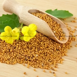 Yellow Mustard Seeds | Peeli Sarso | Pure and Organic Gauri Sarso